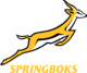 springboks